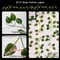suddus Solar Fairy Lights, 33ft 100 Led Pothos Leaf Solar String Lights Outdoor Waterproof, 8 Modes Vines with Lights for Balcony, Deck, Patio, Garden, Fence,Wedding (Warm White)
